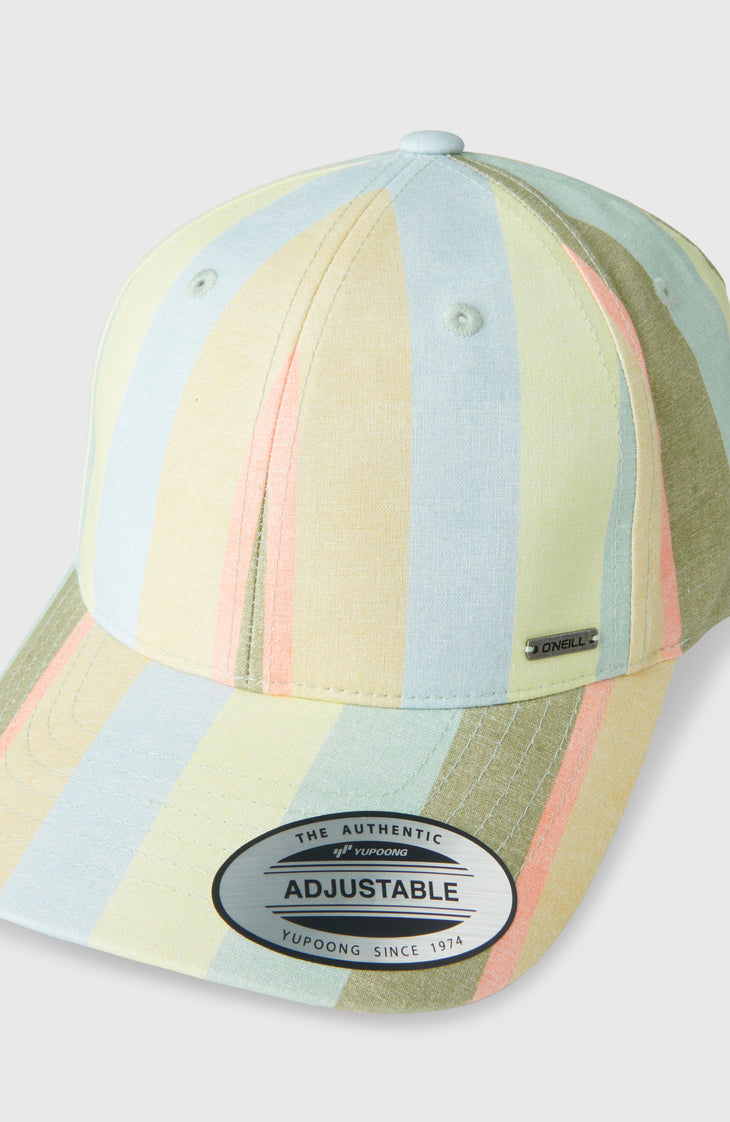 Seacoast pet | Multi Must Haves Stripe