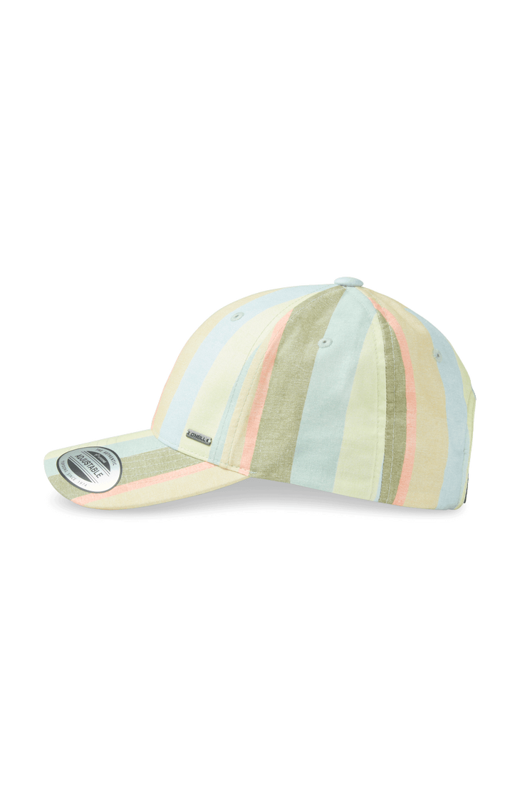 Seacoast pet | Multi Must Haves Stripe