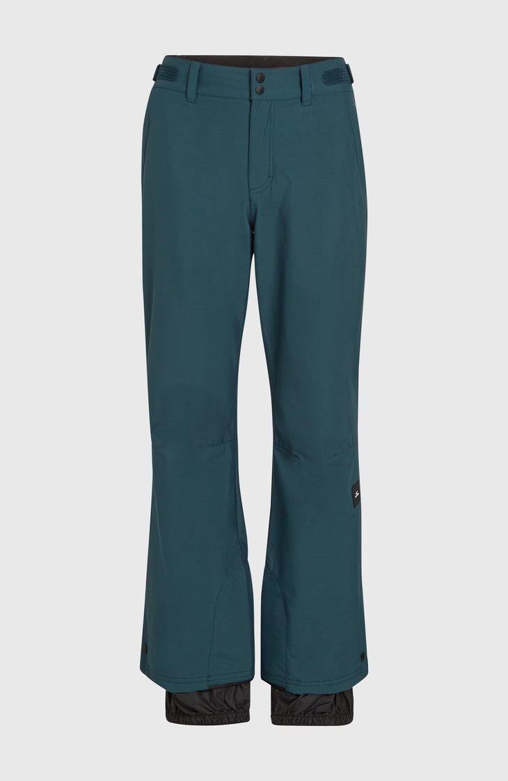 Aplite Regular wintersportbroek | Alma Steel