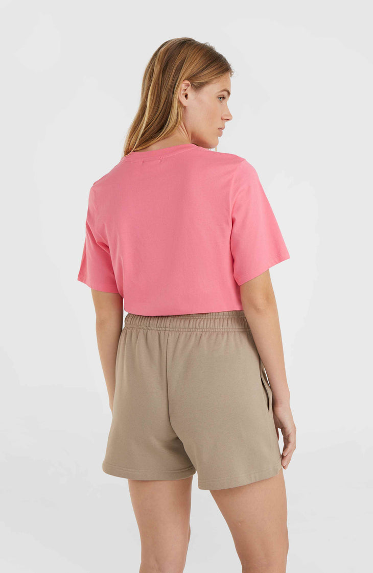 Future Surf Society short | Pumpkin Smoke