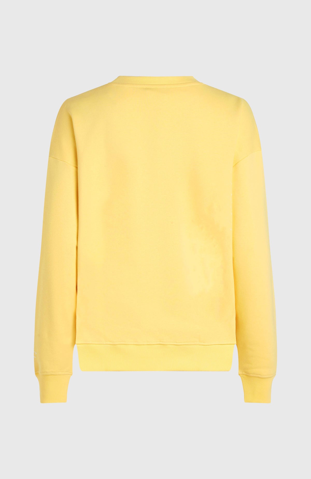 Future Surf Crew sweater | Tender Buttercup
