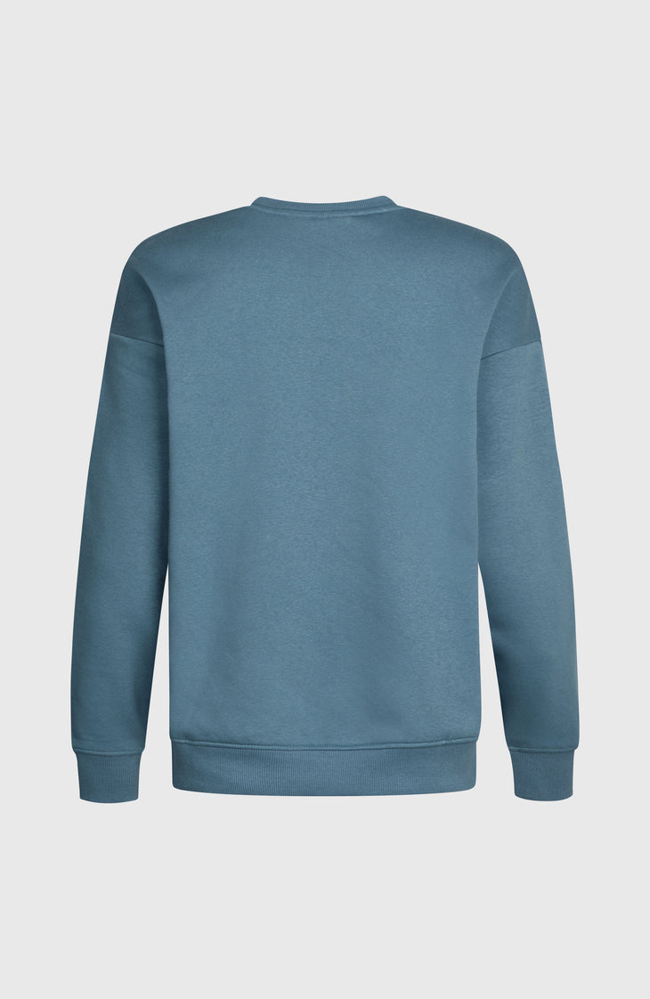 Future Surf Crew sweater | Mozart Blue
