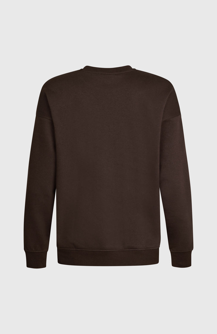 Future Surf Crew sweater | Coffee Bean