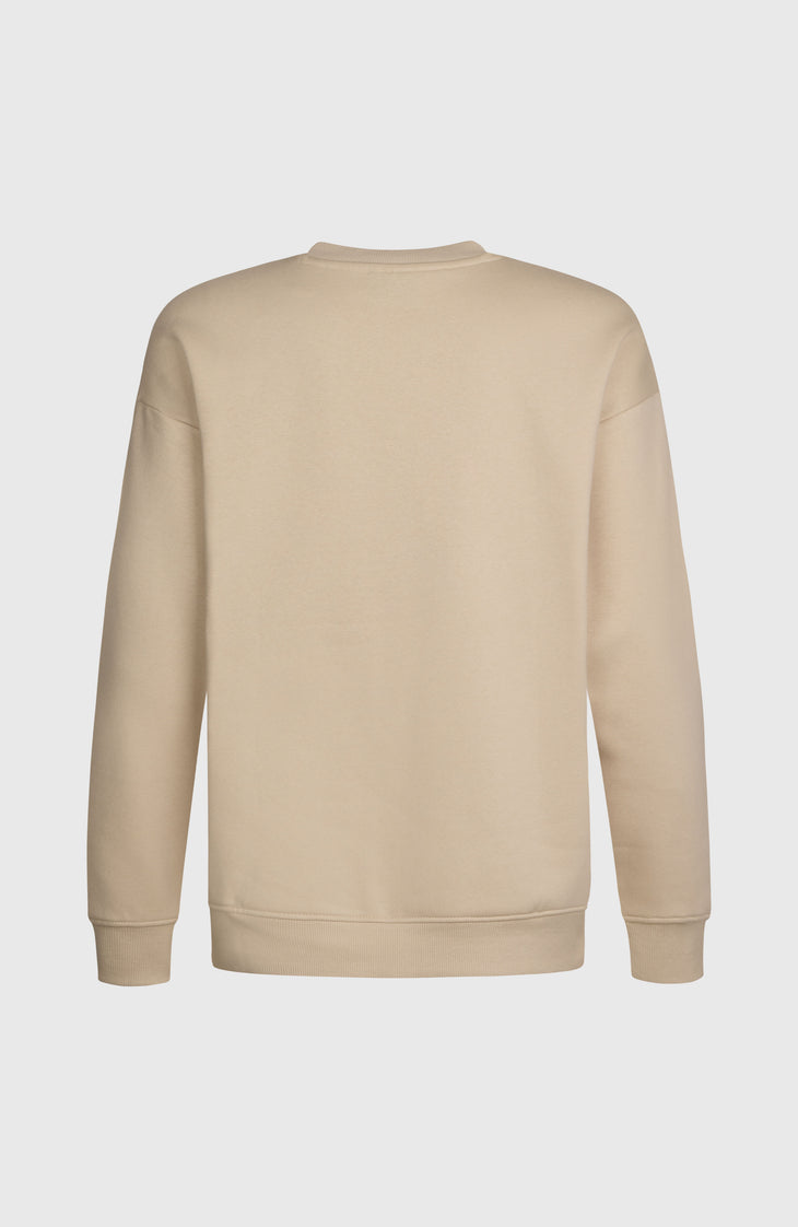 Future Surf Crew sweater | Macaron