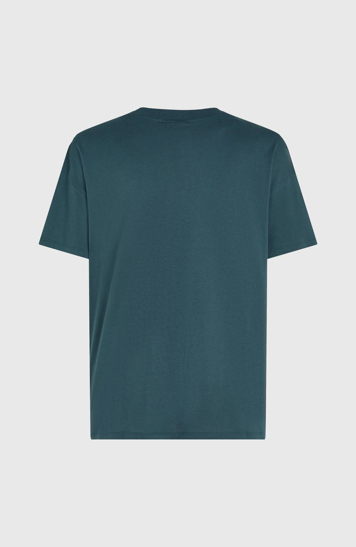 Future Surf Society T-shirt | Alma Steel