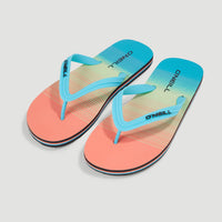 Profile Graphic slippers | Living Coral Simple Gradient Panel