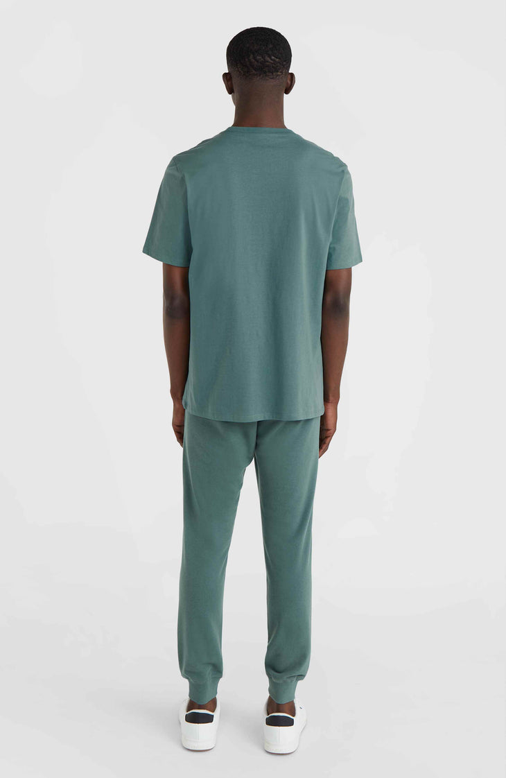 Small Logo joggingbroek | North Atlantic