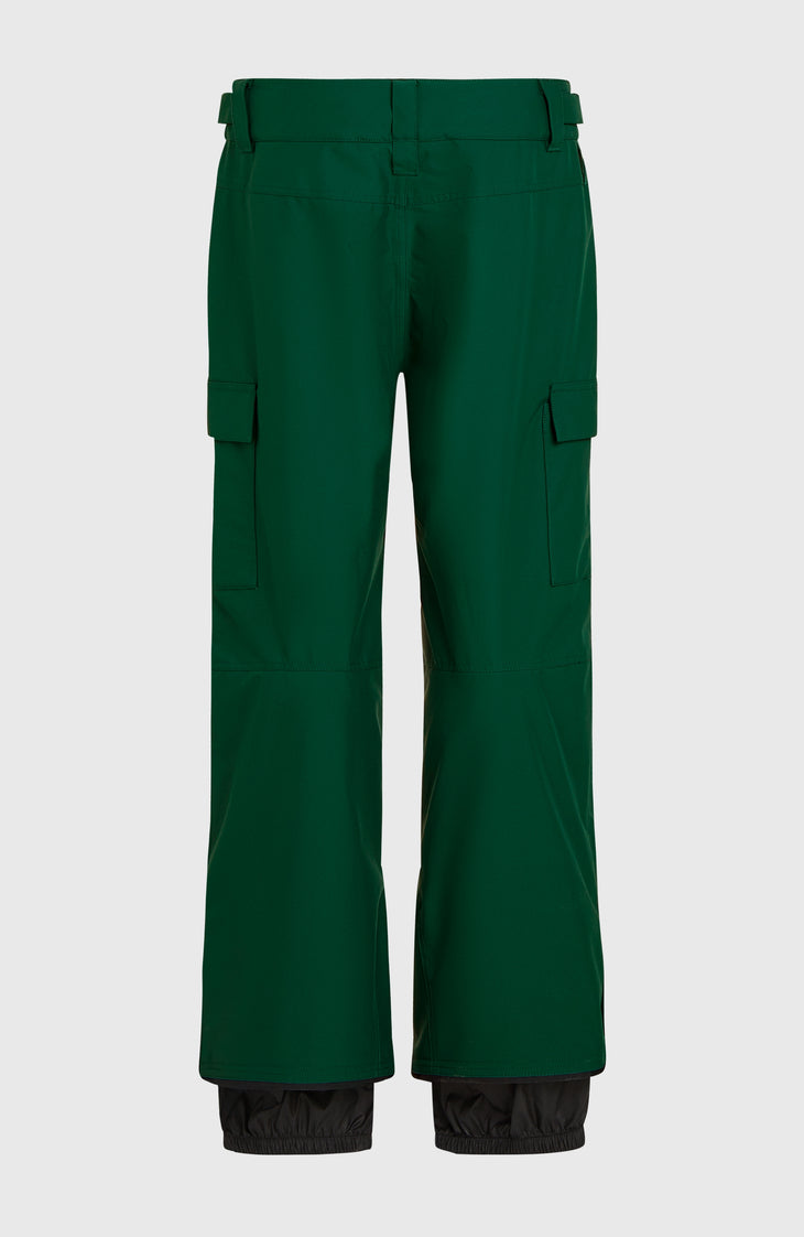 FWC'Cruz Cargo wintersportbroek | Emerald Envy