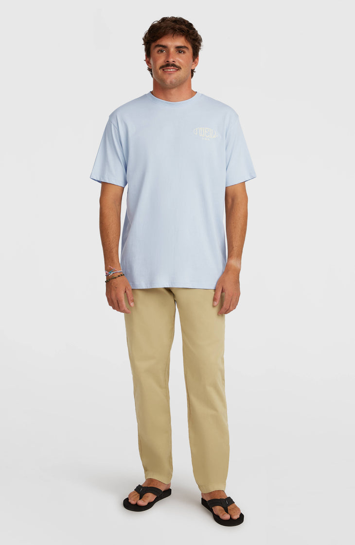 Essentials chinobroek | Oak Ridge