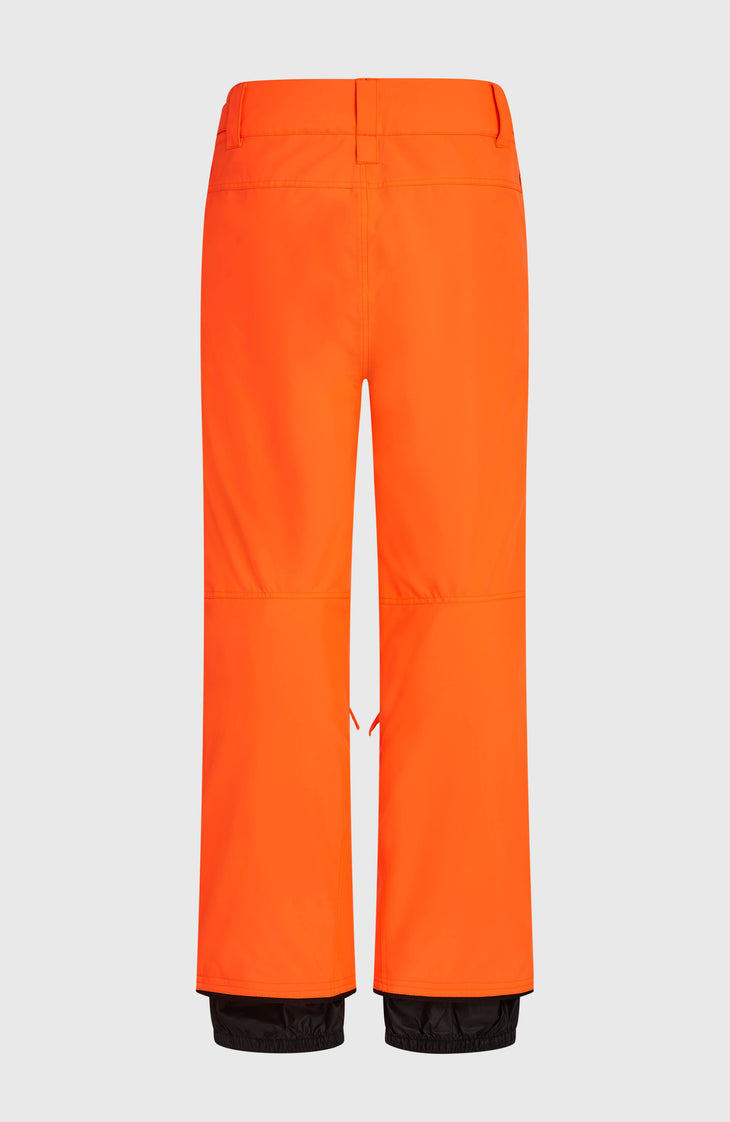 FWC'Cruz wintersportbroek | Tokyo Lights