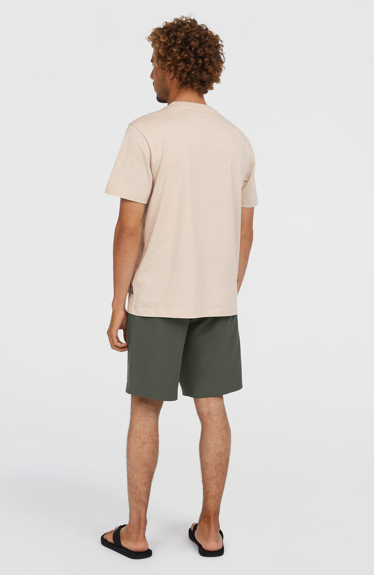 Hybrid Chino 19" short | Raven