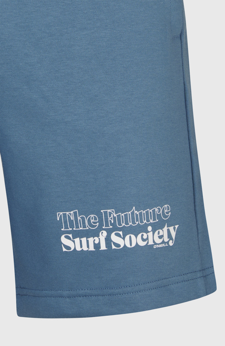 Future Surf Society short | Copen Blue
