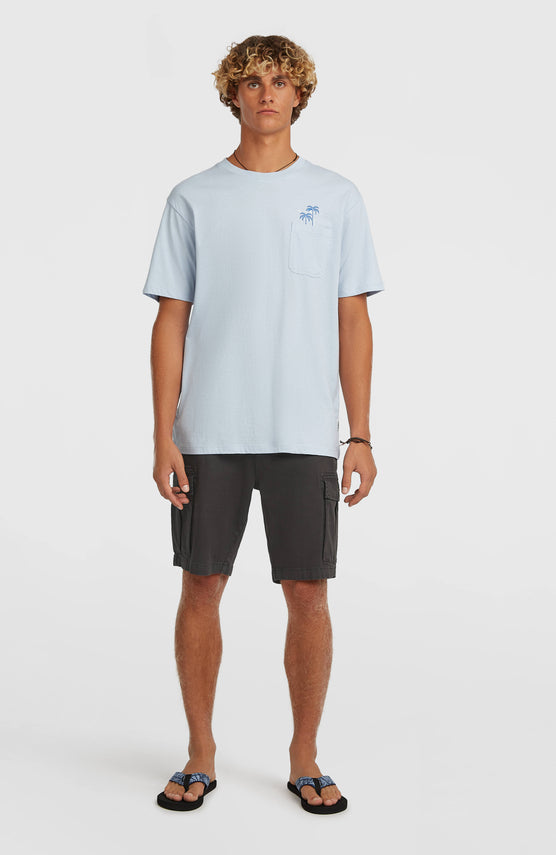 Essentials cargoshort | Raven