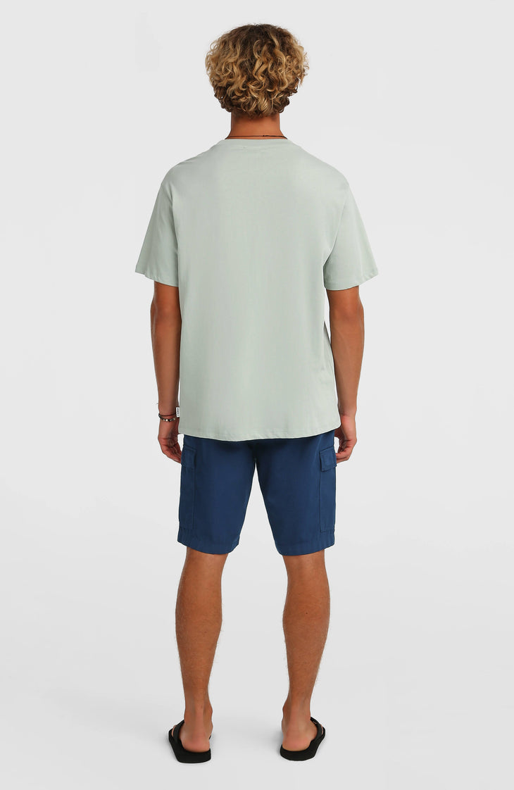O'Neill Essentials Ripstop cargoshort | English Evening