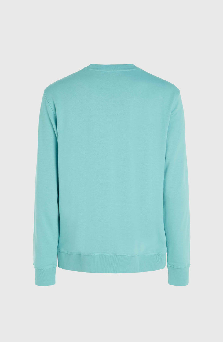 O'Neill Logo Crew sweater | Ripling Shores