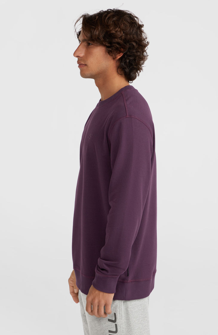Small Logo Crew sweater | Aubergine