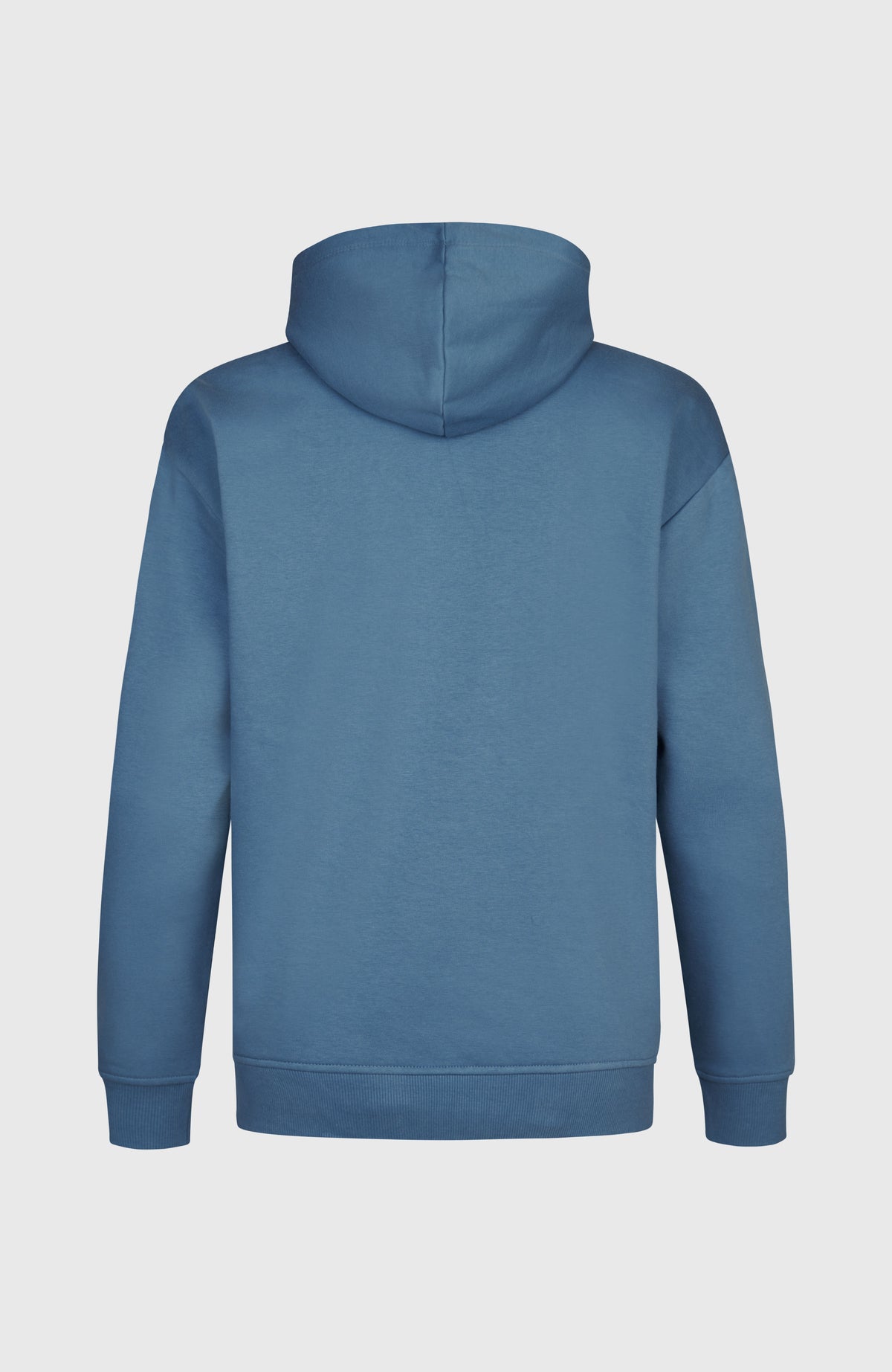 Future Surf Society hoodie | Copen Blue