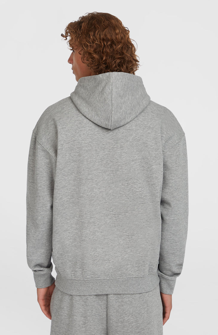 Future Surf Society hoodie | Silver Melee