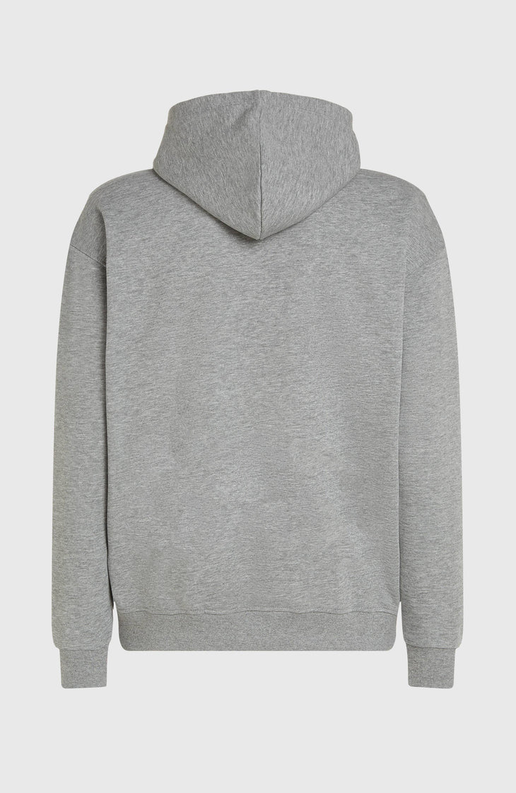 Future Surf Society hoodie | Silver Melee