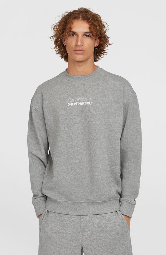 Future Surf Society Crew sweater | Silver Melee
