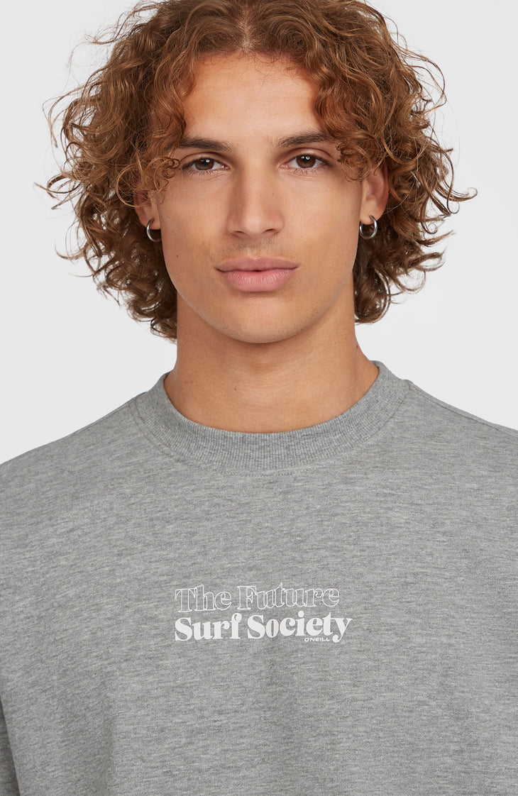Future Surf Society Crew sweater | Silver Melee