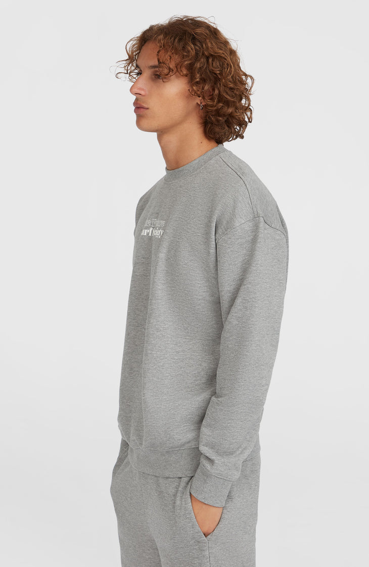 Future Surf Society Crew sweater | Silver Melee
