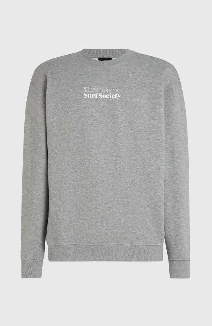 Future Surf Society Crew sweater | Silver Melee