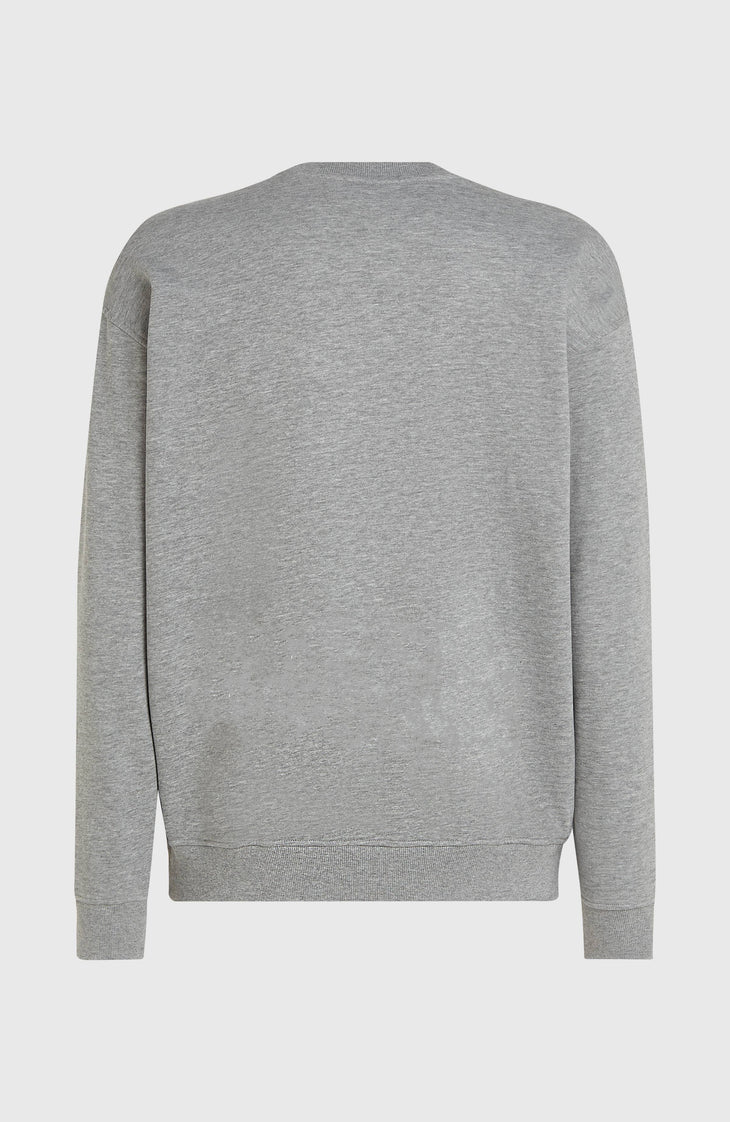 Future Surf Society Crew sweater | Silver Melee
