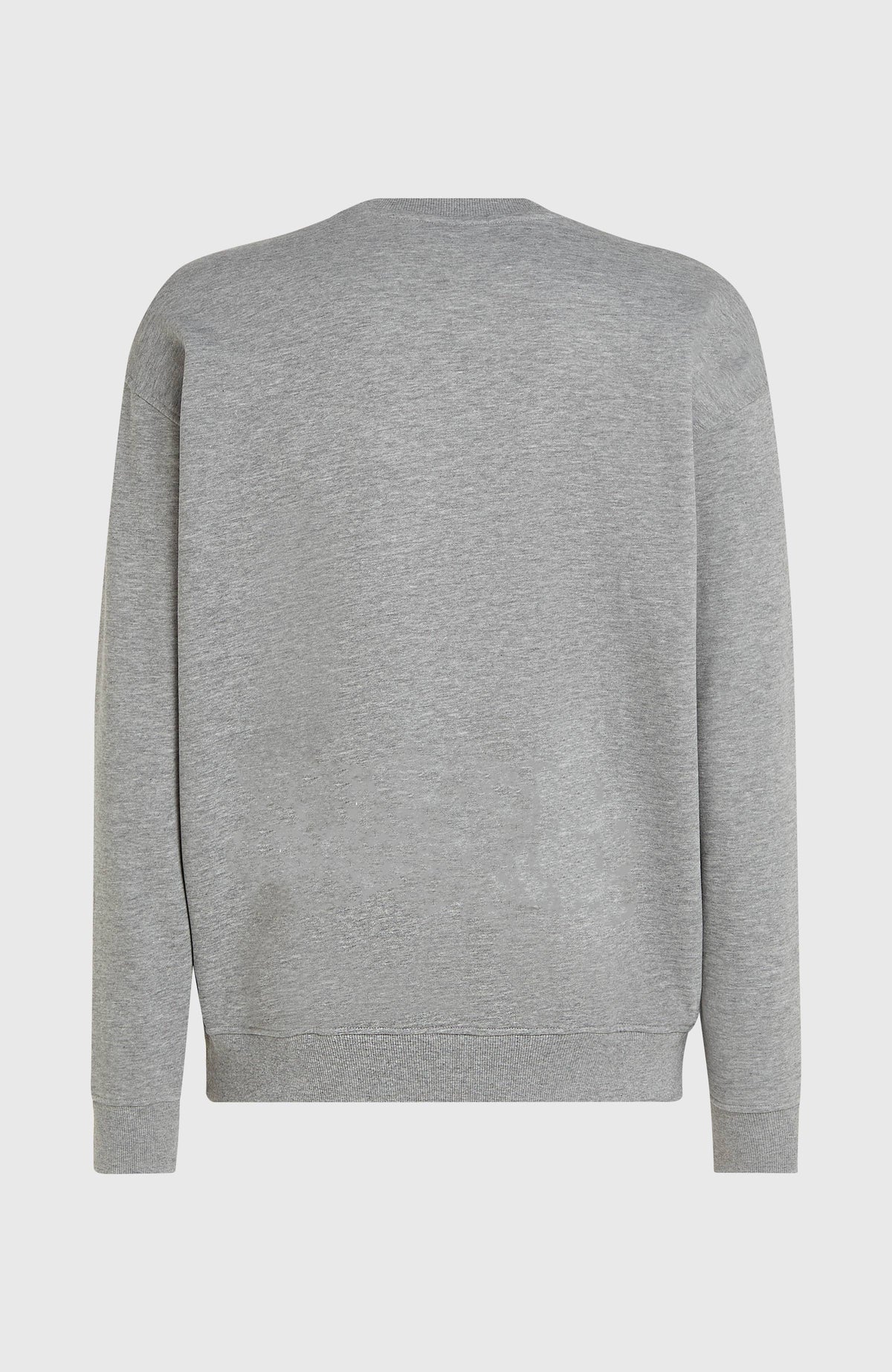 Future Surf Crew sweater | Silver Melee