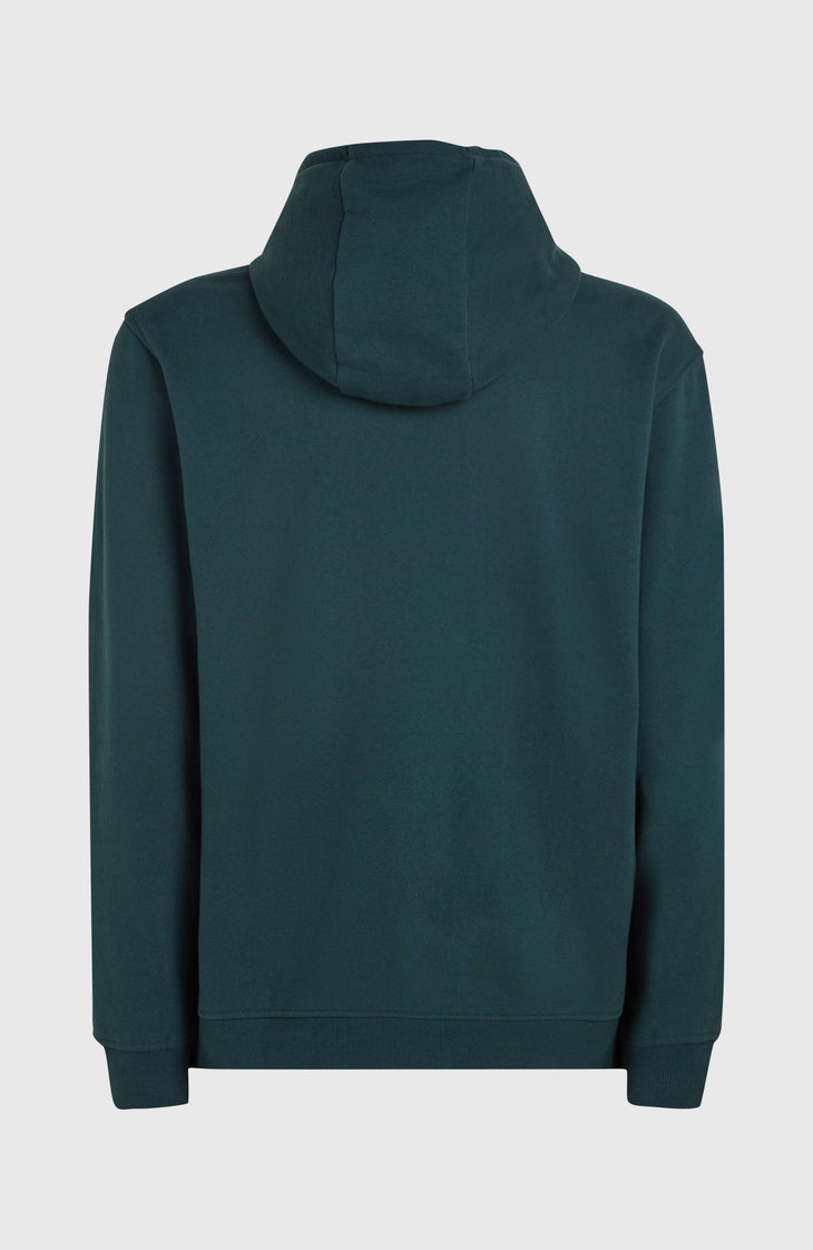 O'Neill Front Print hoodie | Alma Steel