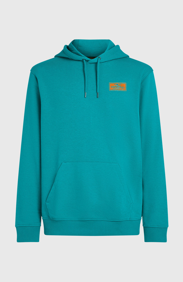 Graphic hoodie | Island Breeze