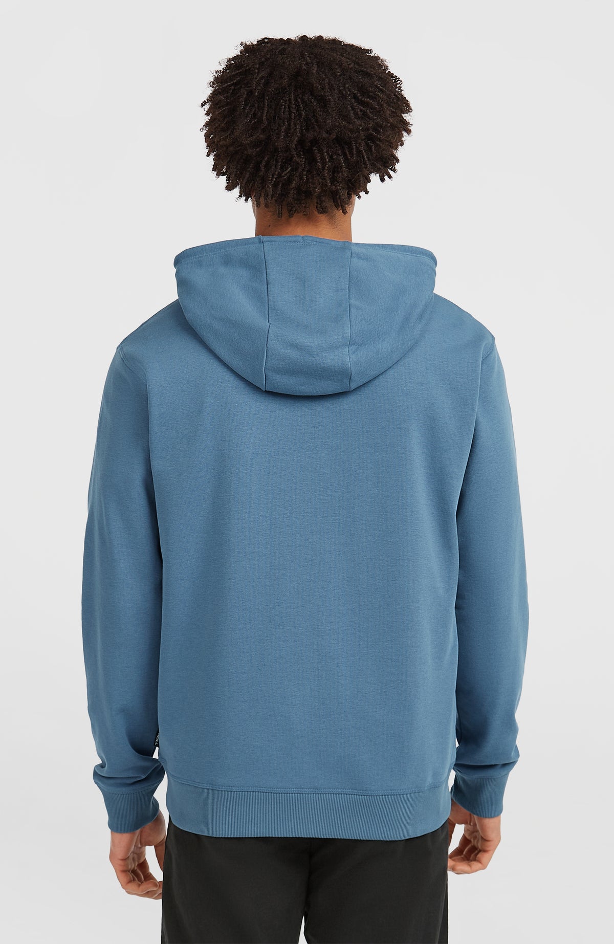 Small Logo hoodie met volledige rits | Mozart Blue