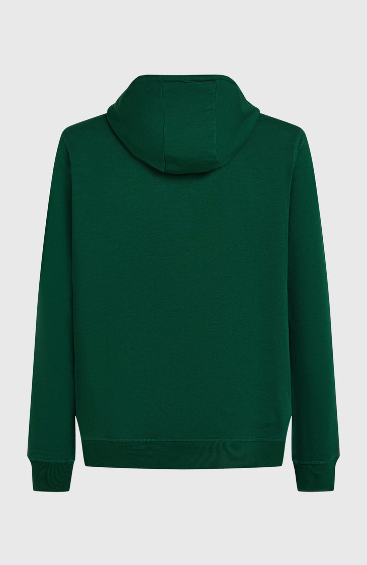 Small Logo hoodie | Emerald Envy