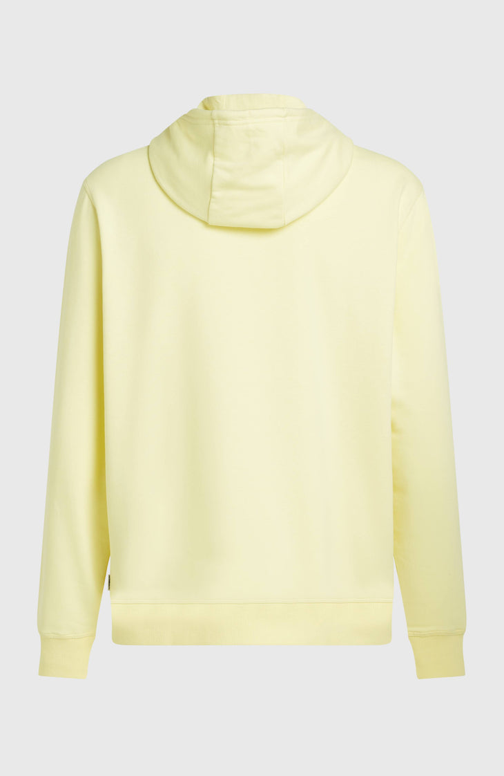 O'Neill Must-Have Graphic hoodie | Rainforest Dew