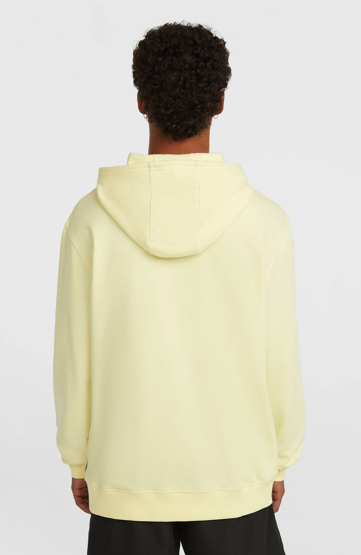 O'Neill Must-Have Graphic hoodie | Rainforest Dew
