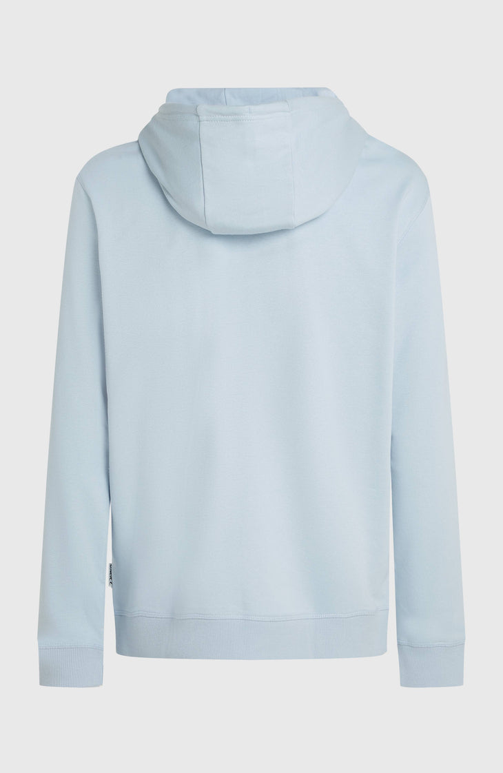 O'Neill Must-Have Graphic hoodie | Spindle