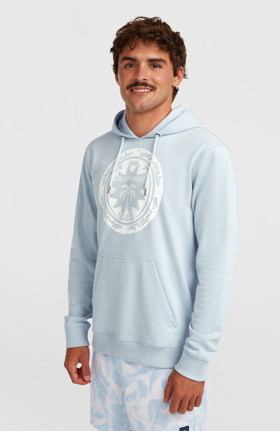 O'Neill Must-Have Graphic hoodie | Spindle