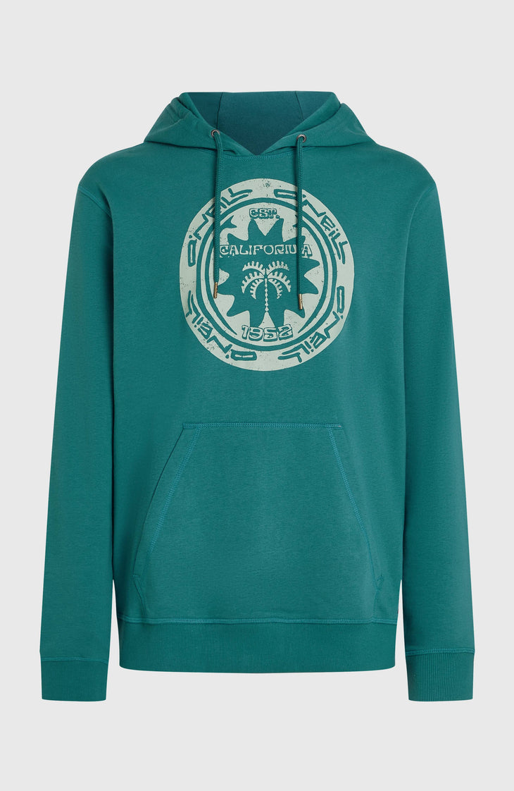 O'Neill Must-Have Graphic hoodie | Botanical Heat