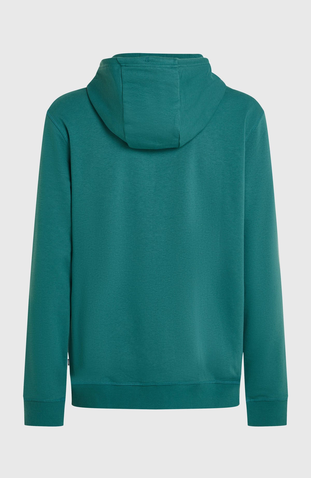 O'Neill Must-Have Graphic hoodie | Botanical Heat