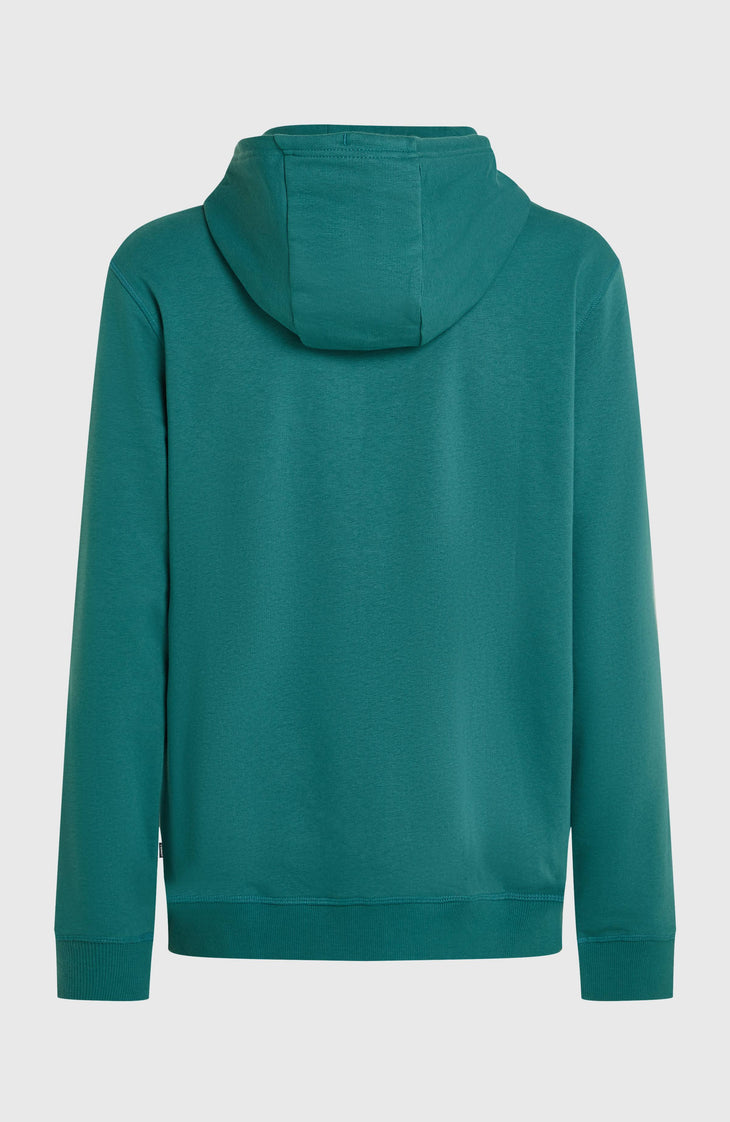 O'Neill Must-Have Graphic hoodie | Botanical Heat
