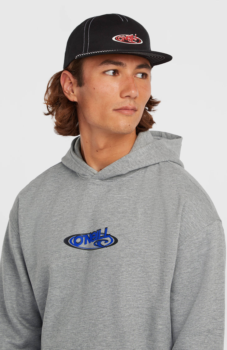 Essentials 90s Logo hoodie | Silver Melee