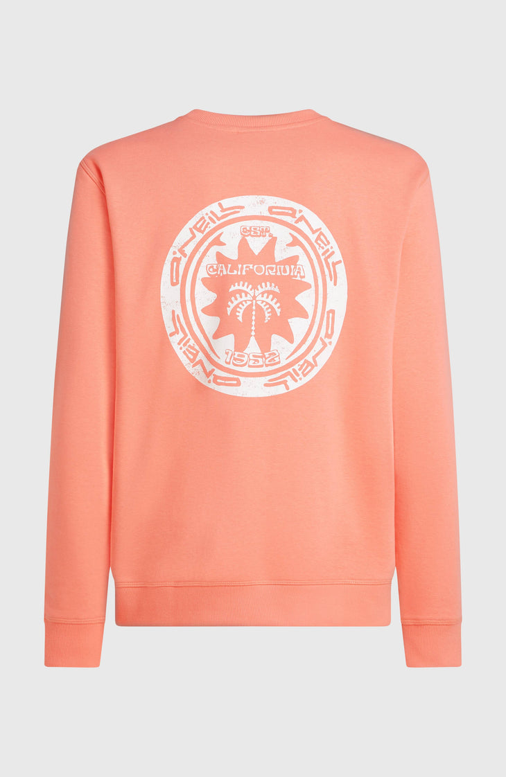 O'Neill Must-Have Graphic Crew sweater | Funky Peach