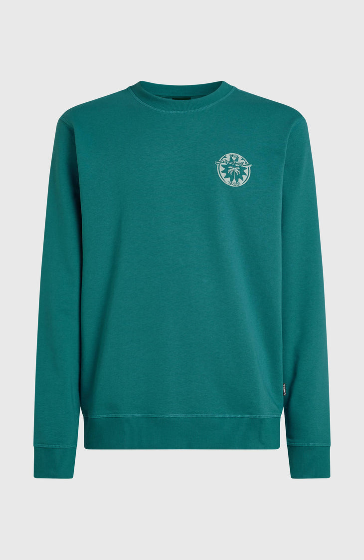 O'Neill Must-Have Graphic Crew sweater | Botanical Heat