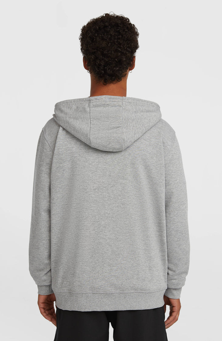 Small Logo hoodie met volledige rits | Silver Melee