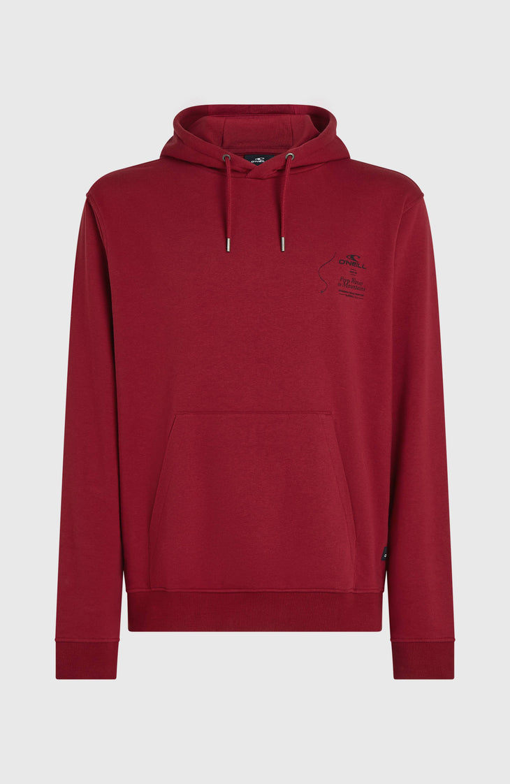 O'Neill Must-Have hoodie | Tamarillo