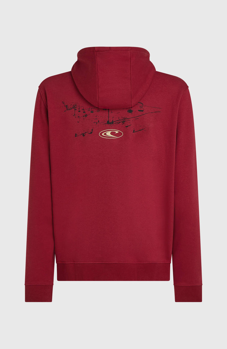 O'Neill Must-Have hoodie | Tamarillo