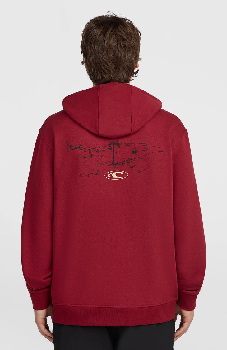 O'Neill Must-Have hoodie | Tamarillo