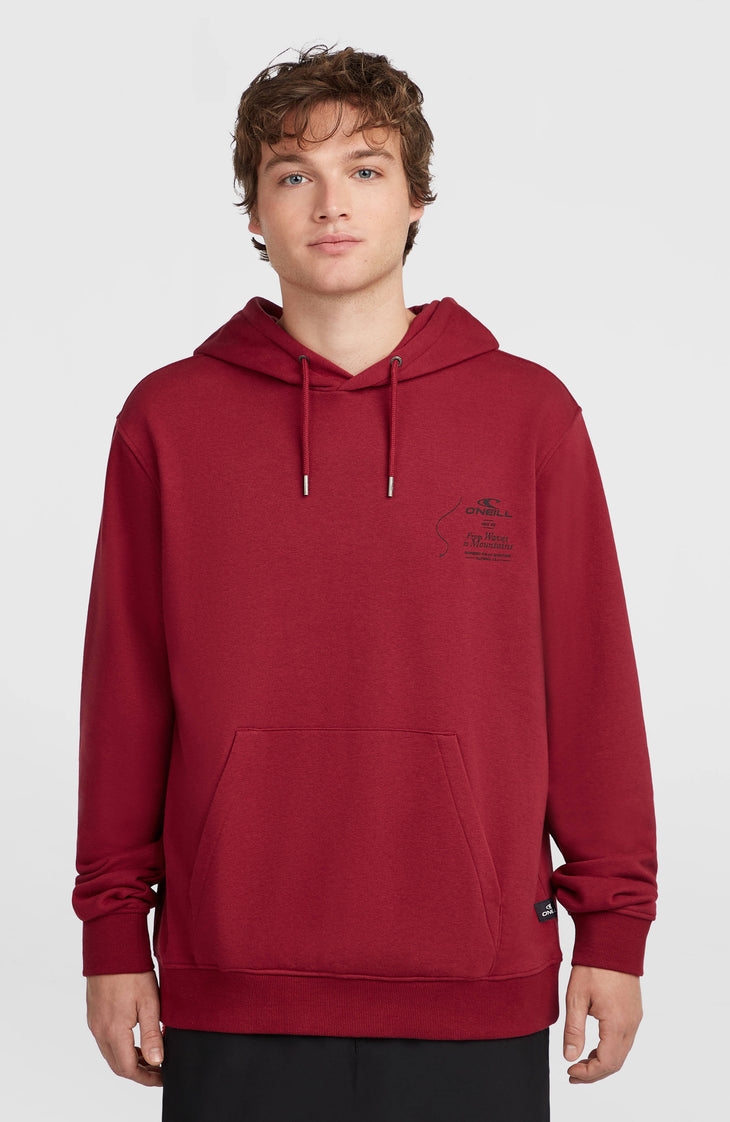 O'Neill Must-Have hoodie | Tamarillo