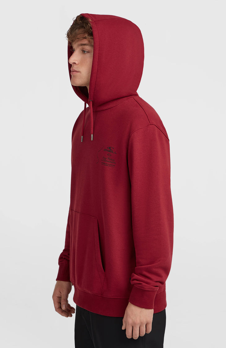 O'Neill Must-Have hoodie | Tamarillo