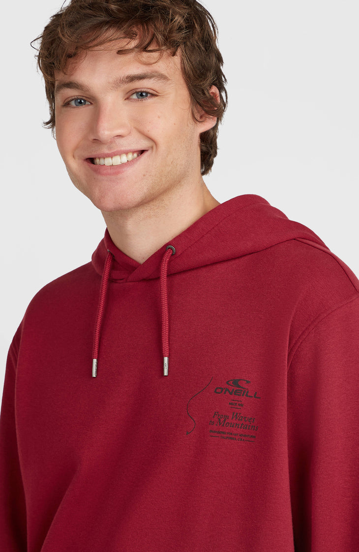 O'Neill Must-Have hoodie | Tamarillo